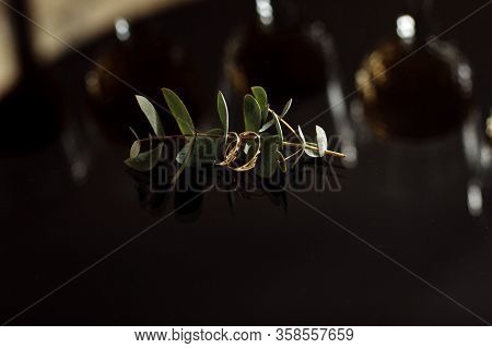 Gold Wedding Rings On A Dark Background With Eucalyptus Twig, Close-up.