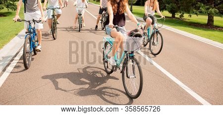 People Riding Bicycles In City Park On Asphalt Road. Gealthy Lifestyle And Health Care. Cut View Of 