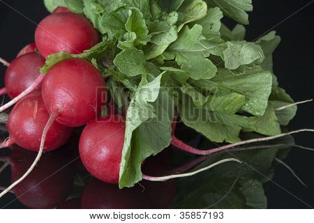 พวงของ Radishes สดบนกระจกสีดำ