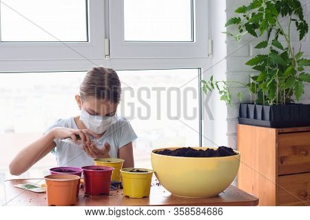 Girl In Self-isolation At Home Planting Seeds In Pots