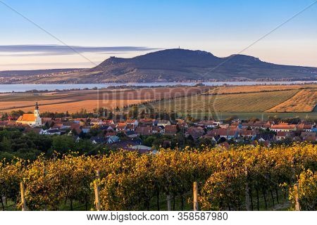 Autumn vineyards under Palava near Sonberk, South Moravia, Czech Republic