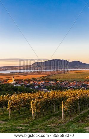 Autumn vineyards under Palava near Sonberk, South Moravia, Czech Republic