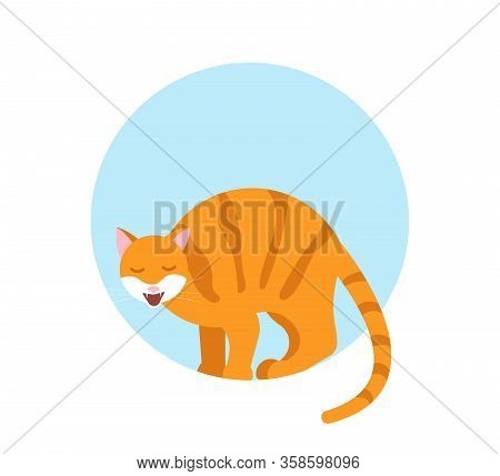 The Cat On The Windowsill Look Out Of The Window, Arched His Back And Hisses. Flat Art Vector Illust