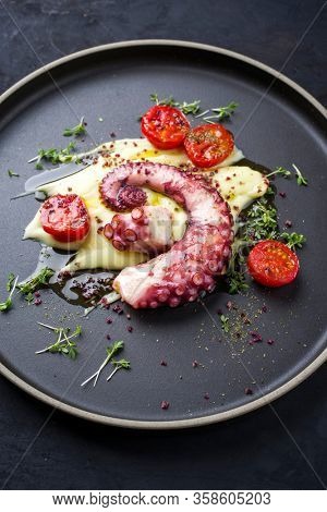 Polpo Alla Griglia Images Illustrations Vectors Free Bigstock