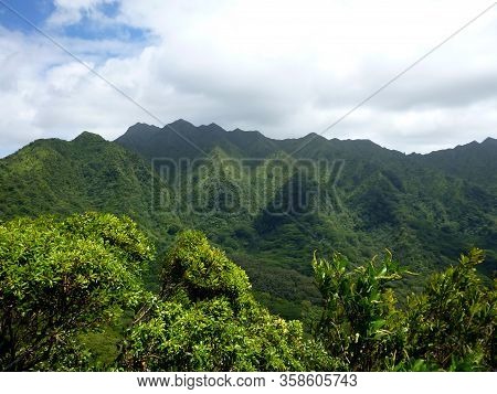 Manoa Valley And Mount Olympus, Waahila, Peak More Than 2,300 Feet Above Sea Level Covered In A Lush