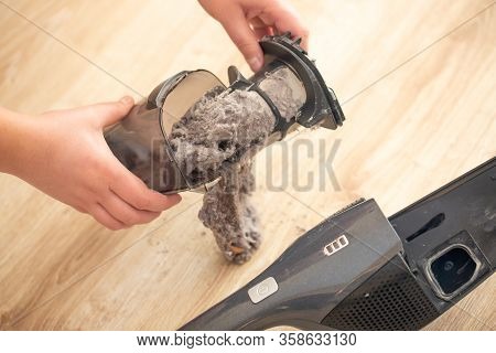 Close Up Of Massively Clogged, Dirty Filter Of Hand Vacuum Cleaner, Dust And Powder On The Vacuum Fi
