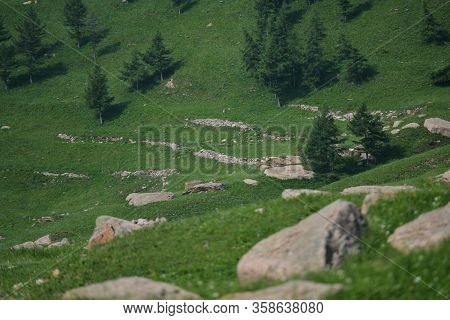 Stone Kneeboard On Green Mountain Slope Of Valley