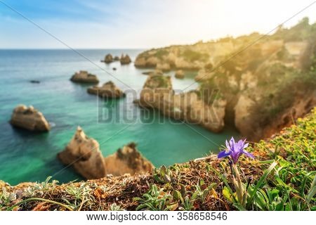 Beautiful Bay Landscape On The Portuguese Beach Of Boiao, Green Grass And Purple Flower. Algarve