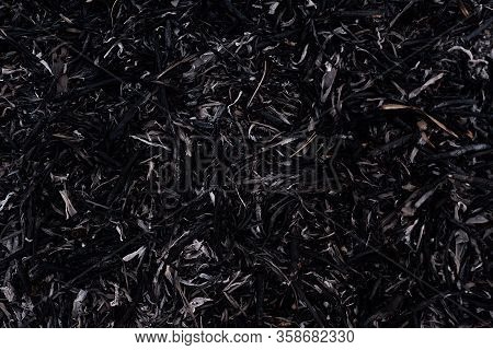 Texture Of Burnt Grass For The Background Of Your Design. Nature Protection, Forest Fires