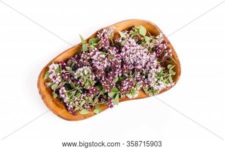Purple Flowers Of Origanum Vulgare Or Common Oregano, Wild Marjoram.
