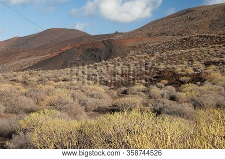 Scrubland And Hills In Frontera Rural Park.