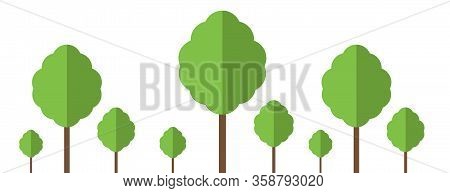 Set Flat Trees. Vector Illustrations. Forest. Icon. Vector