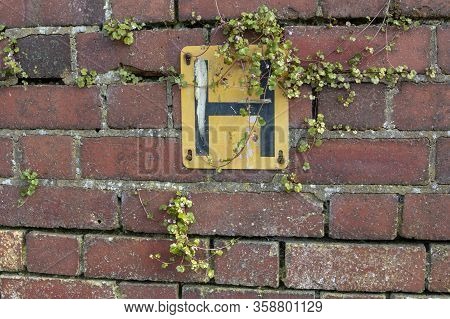 Bristol-march 2020-england-a Close Up View Of Signage On The Side Of A Wall Covered In Viens