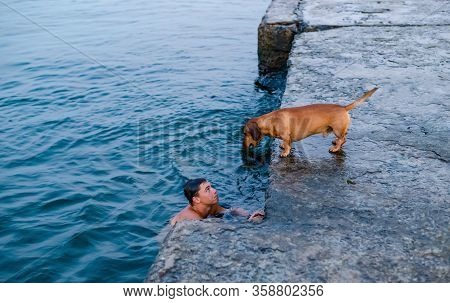 The Boy Swims In The Sea And Teases His Dog Who Stands On The Pier. Odessa, Ukraine. August 04, 2018