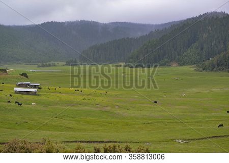 Herders On The Ranch Of Shangrila National Park