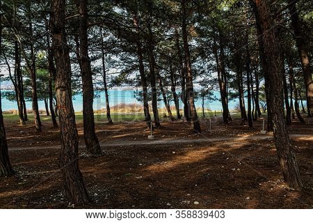 Park With Sea View, Outdoor Activities. Summer