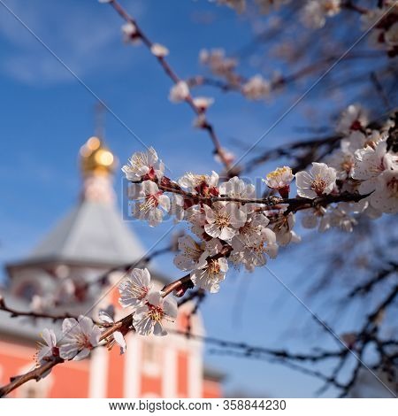 Spring. Russia Bataysk 03.28.2020 The Church Of The Ascension Exterior Of The Building