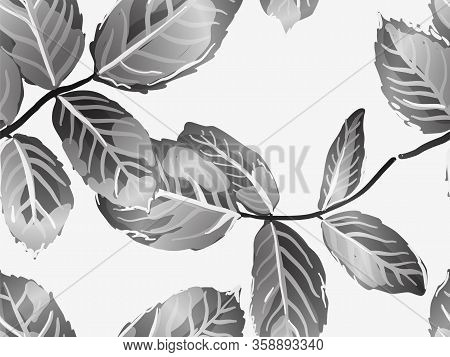 Monochrome And Greyscale Repeated Spring Peony Wallpaper. Summer Textile Design. Painted English Ros