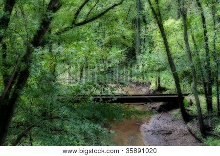 Ponte na floresta