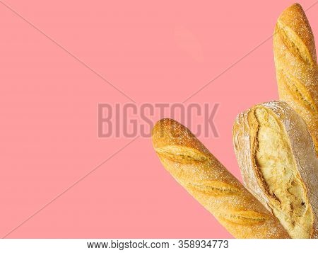 Freshly Baked Artisan Whole French Baguettes With Golden Crusty Floury Texture Ciabatta On Pink Back