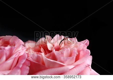 Gold Ring With Diamond. Diamond Wedding Rings On Rose Petals. Diamond Ring On Pink Rose. Selective F
