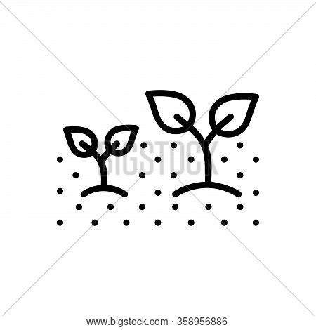 Black Line Icon For Growing Plant Soil Agriculture Botany Increase-in-size Burgeoning Developing Spr