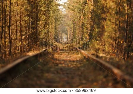 Fall Autumn Tunnel Of Love. Tunnel Formed By Trees And Bushes Along A Old Railway In Klevan Ukraine.