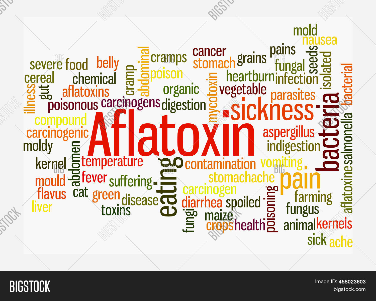 Word Cloud Aflatoxin Image & Photo (Free Trial) | Bigstock