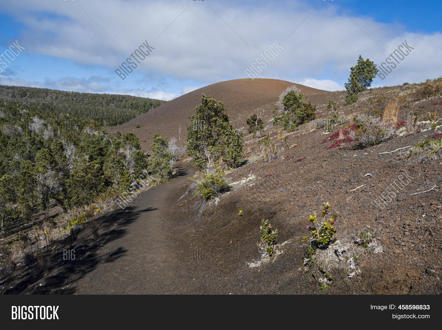 Pu'u Pua' Cinder Cone Image & Photo (Free Trial) | Bigstock