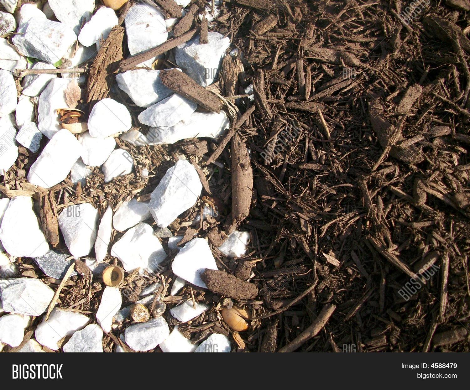 Mulch Rocks Image & Photo (Free Trial) Bigstock