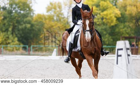 Young Teenage Girl Riding Sorrel Horse On Dressage Equestrian Event