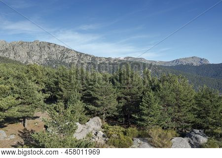 Views Of Guadarrama Mountains From Vicente Aleixandre Lookout, In Fuenfria Valley, Municipality Of C