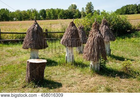 Old Thatched Beehives Structure Folk Architecture On Rural Landscape In Pyrohiv, Ukraine.