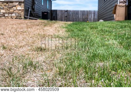Visible Distinction Between Healthy Lawn And Chemical Burned Grass.