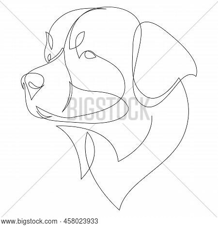 Continuous Line Bernese Mountain Dog. Single Line Minimal Style Dog Vector Illustration. Portrait.