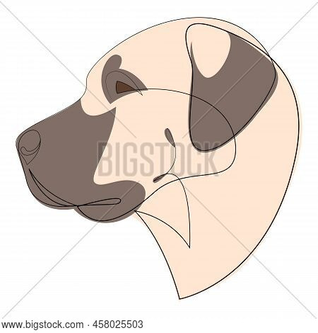 Continuous Line Anatolian Shepherd. Single Line Minimalist Style Dog Vector Illustration. Portrait.