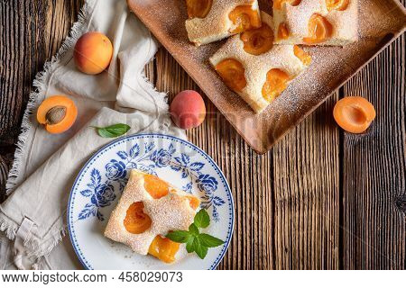 Homemade Apricot Sponge Cake Sprinkled With Powdered Sugar