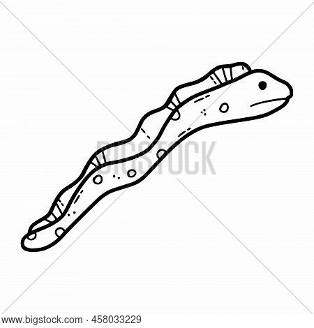Sea Snake Muraena. Vector Illustration In Doodle Style. Coloring Book With Ocean Animals.