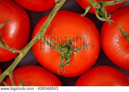 Close Up Of Trusses Of Small Ripe Tomatoes