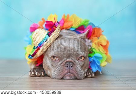 Cute Grumpy French Bulldog Dog With Tropical Flower Garlands And Summer Straw Hat