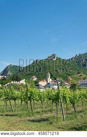 Traditional Wine Growing Near The Village Duernstein In The Wachau In Austria