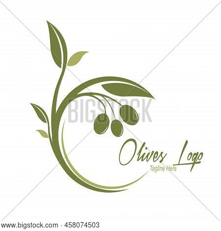 Logo Of Olives Or Olive Oil. Vector Template For A Logo, Brand, Product Label Or Sticker. Flat Style