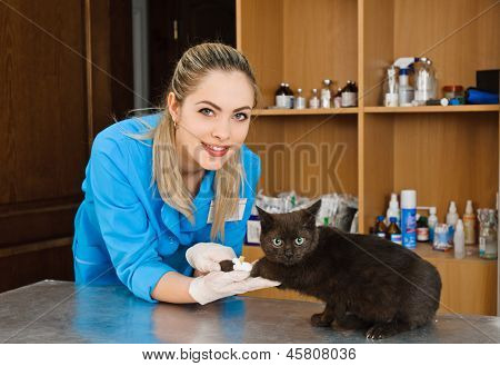 Veterinärmedicinska kvinna