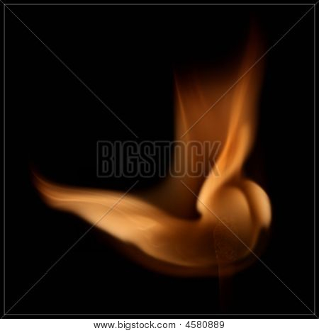Pheonix'ın Pinyonlar