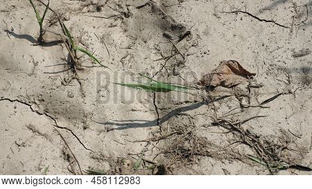 Dry Earth Climate Change