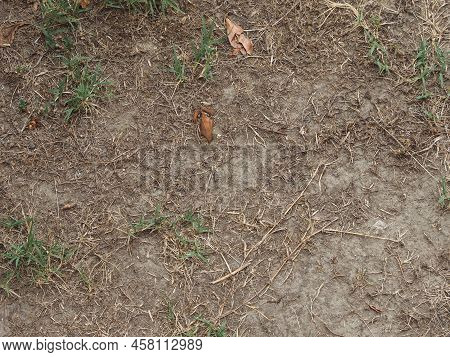 Dry Earth Climate Change