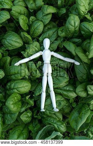 Wooden Mannequin On Lettuce Leaves. Harvesting. Selective Focus. Vertical Photo