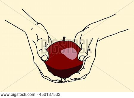 Two Hands Holding An Apple. Vector, Lines.