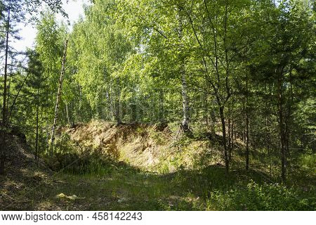 Summer Forest Landscape. Small Ravine In The Backwoods Of A Mixed Forest