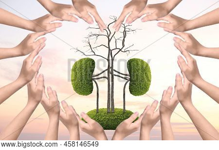 Tree In Shape Of Human Kidneys And People Forming Heart With Their Hands Against Sky At Sunrise, Clo